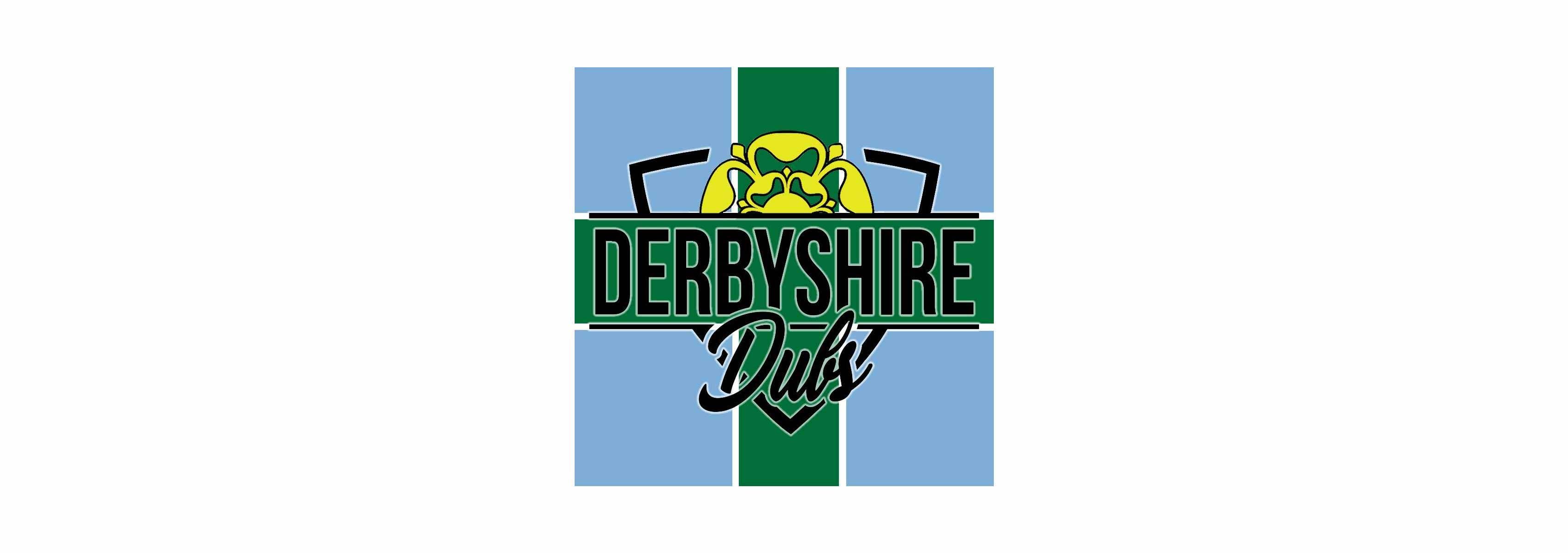 Derbyshire Dubs VW Festival 2025